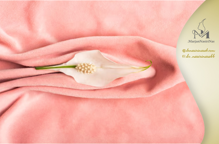 مزایای بهترین دکتر لابیاپلاستی در کرج